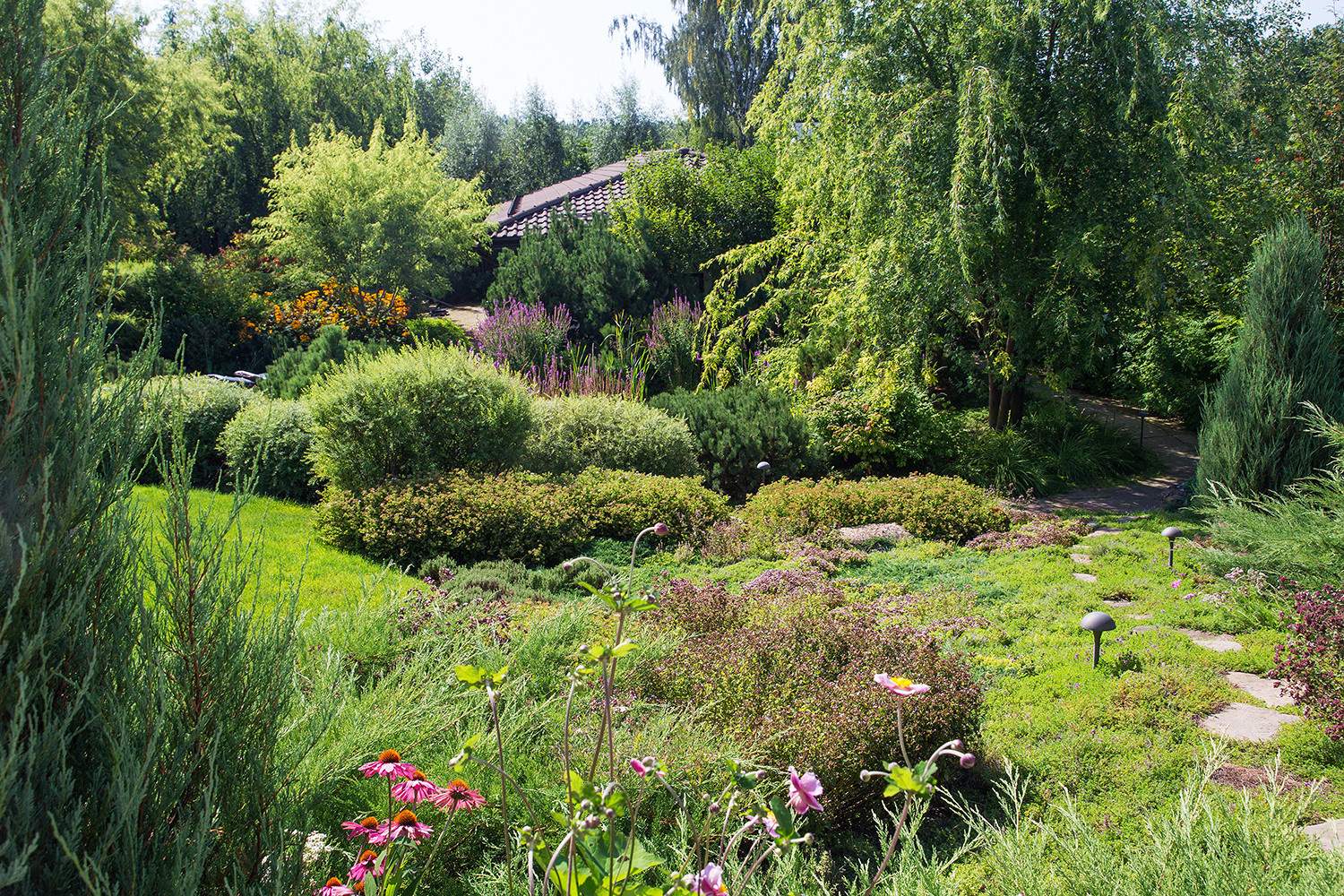 Garden of Elena Astashkina in Moscow Region