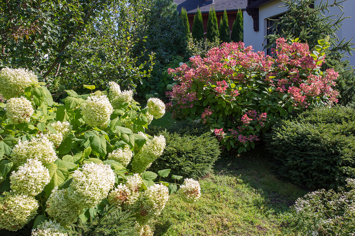 Garden of Elena Astashkina in Moscow Region