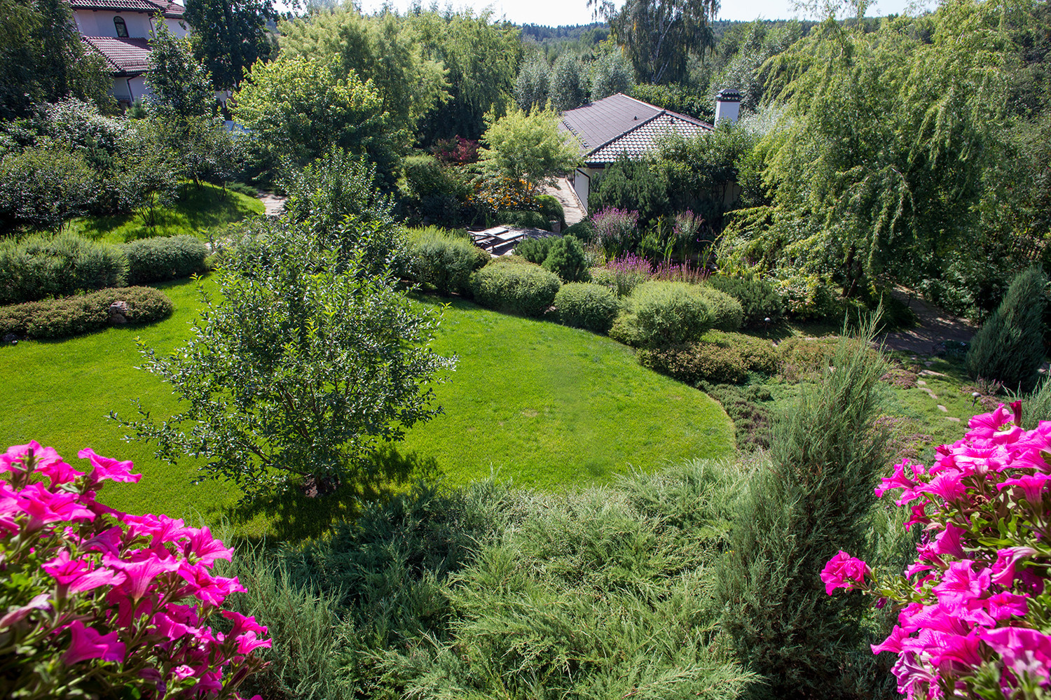Garden of Elena Astashkina in Moscow Region