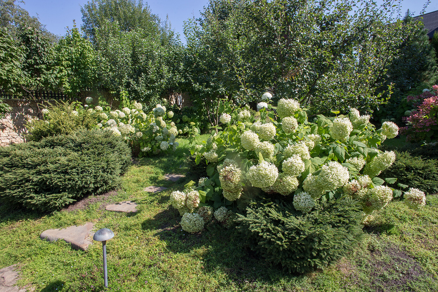 Garden of Elena Astashkina in Moscow Region
