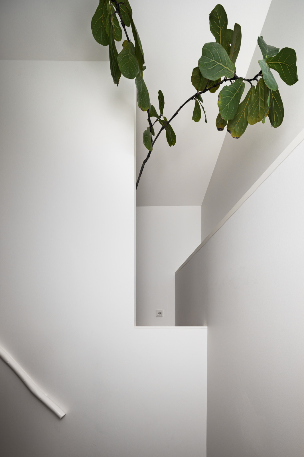 Waterline House