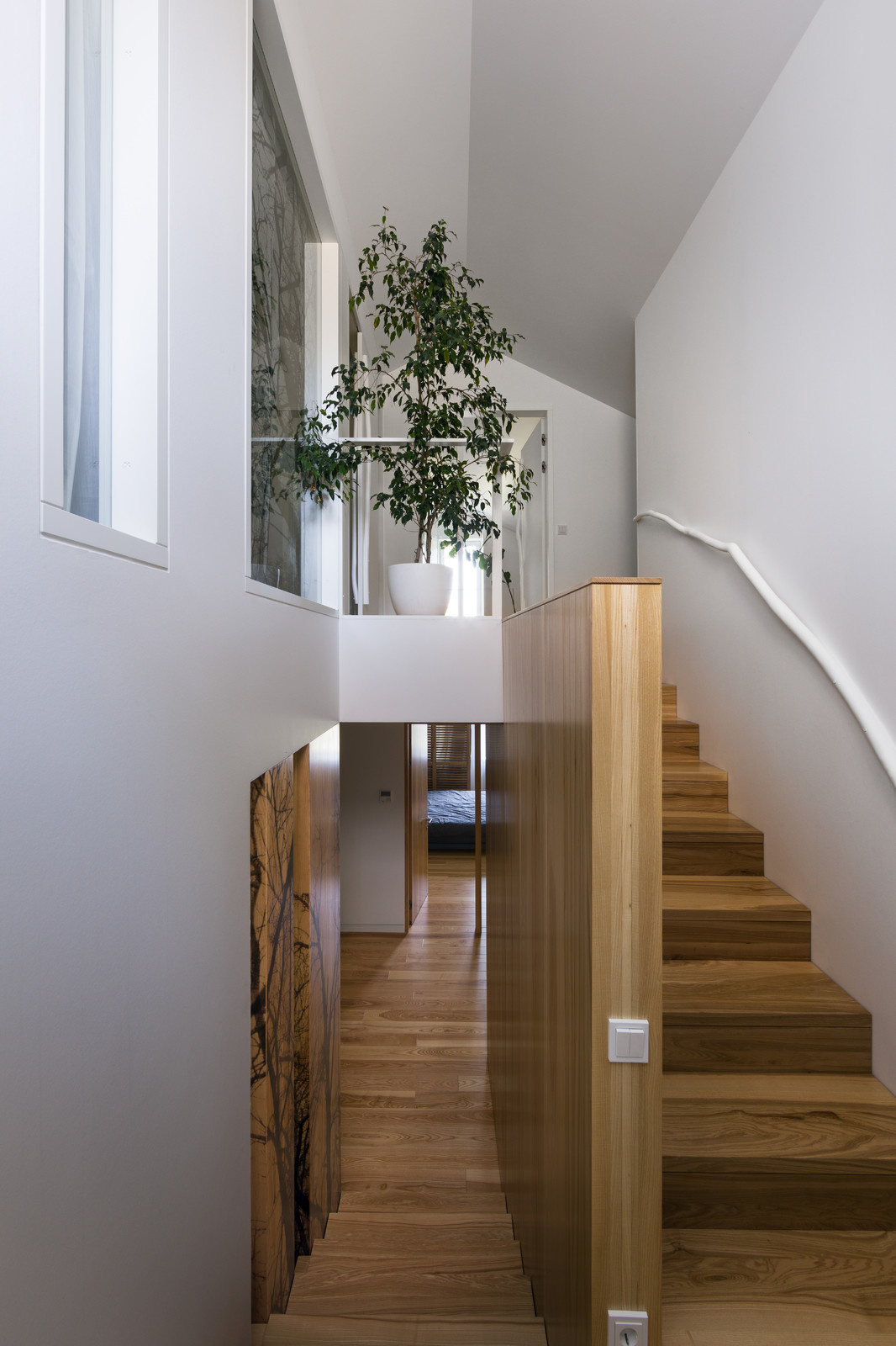 Waterline House