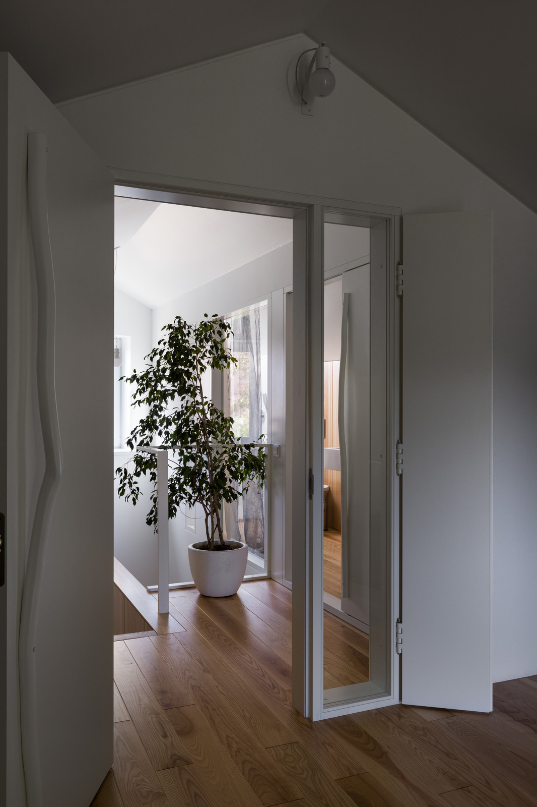 Waterline House