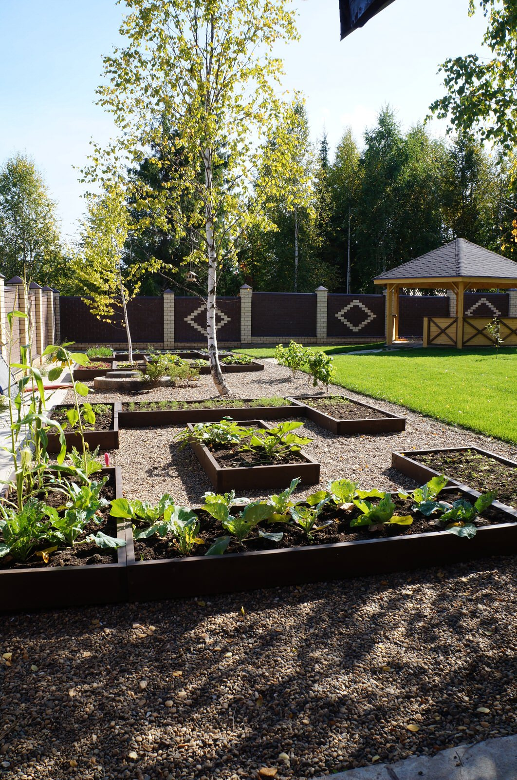 АМ Терра Верде