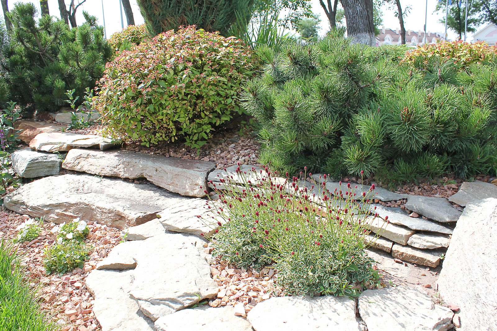 Горка на Потапова