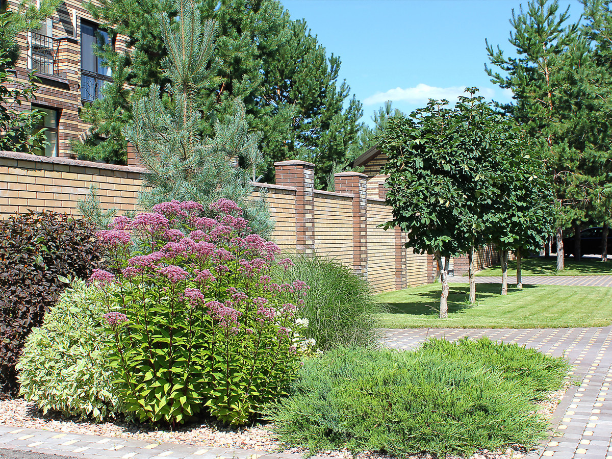 Обложка проекта: Излучина