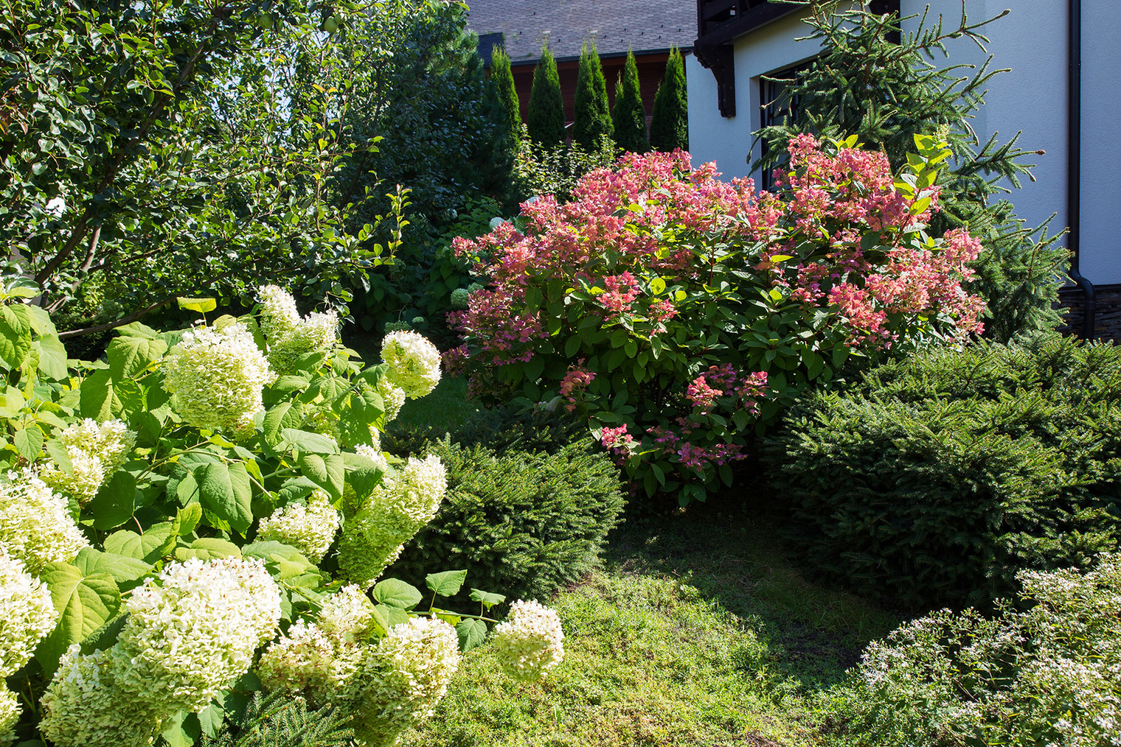 Garden of Elena Astashkina in Moscow Region