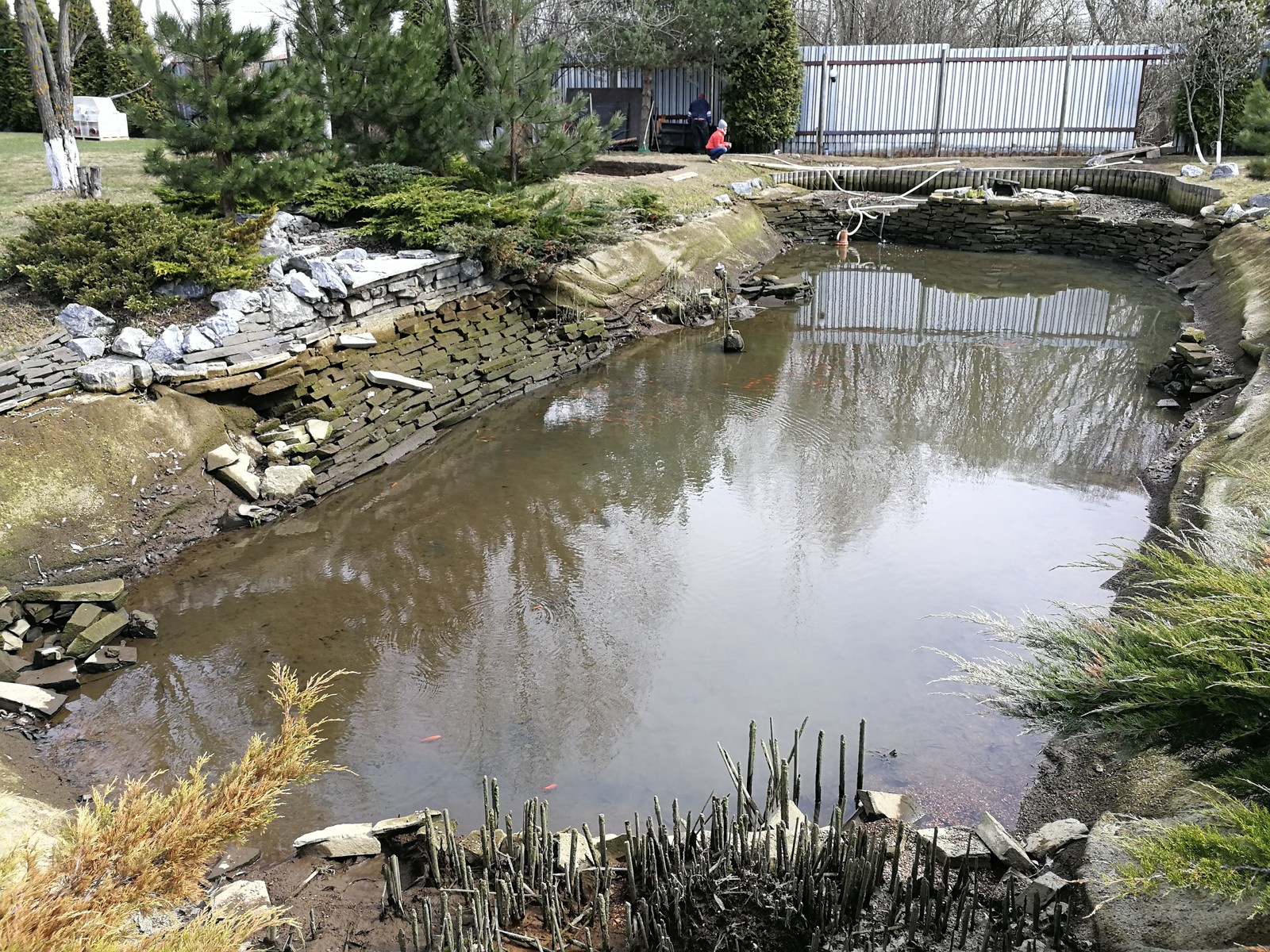 Андрей Любимов