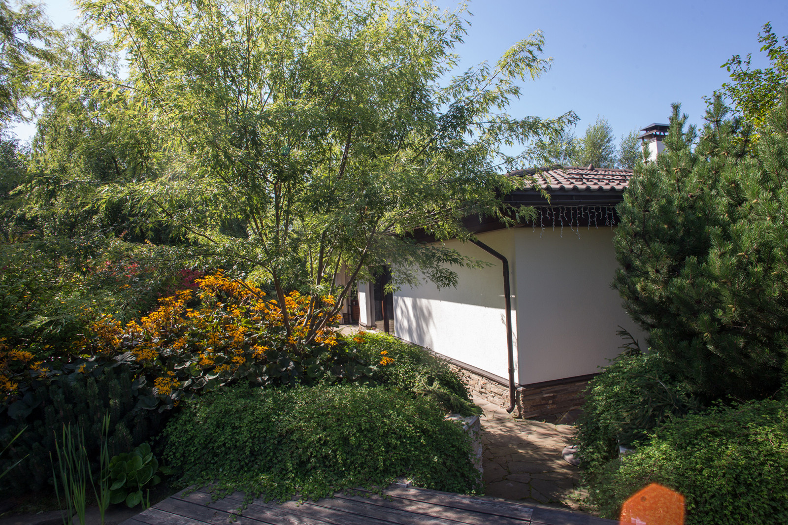 Garden of Elena Astashkina in Moscow Region