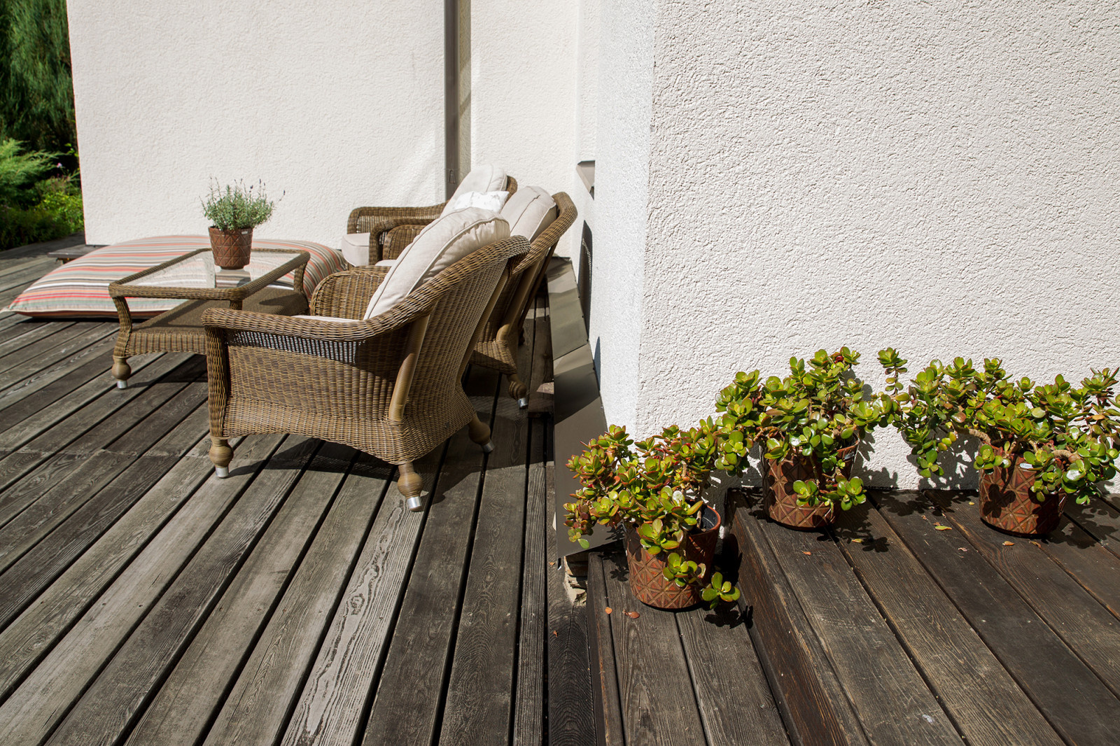 Garden of Elena Astashkina in Moscow Region