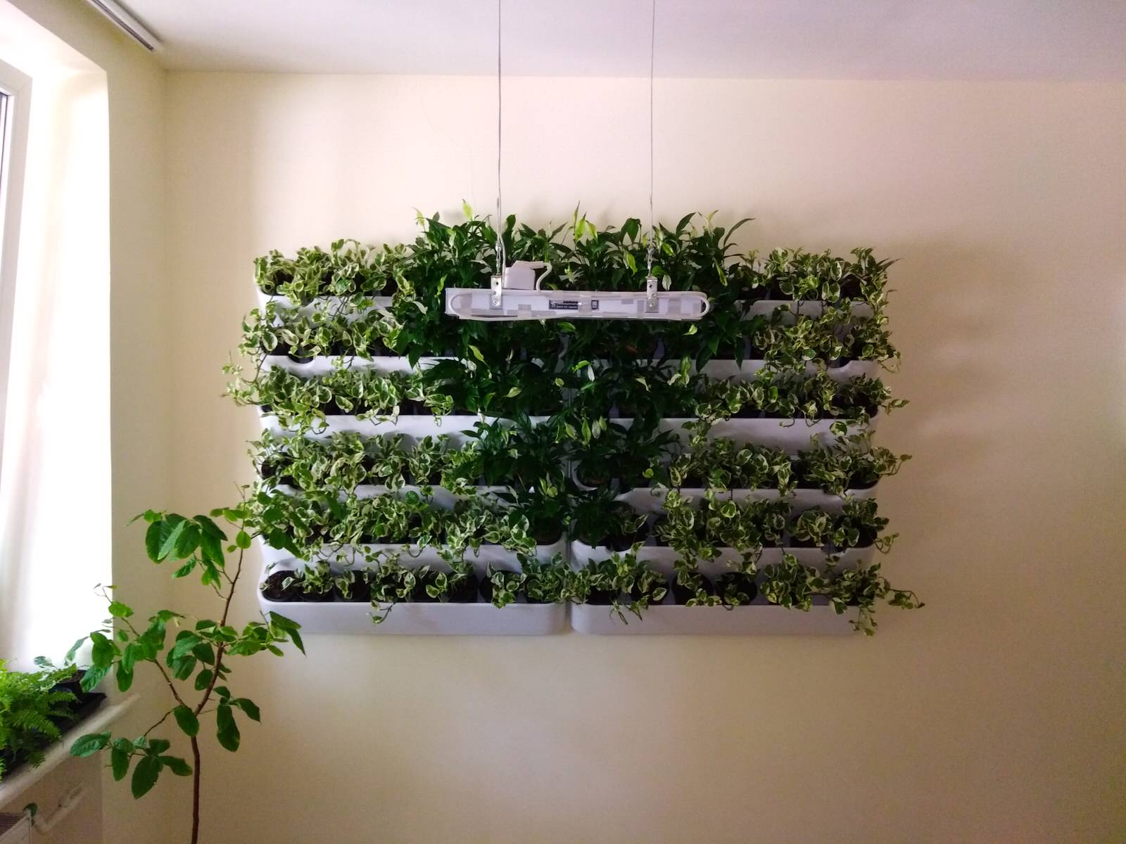 Павел Гулев