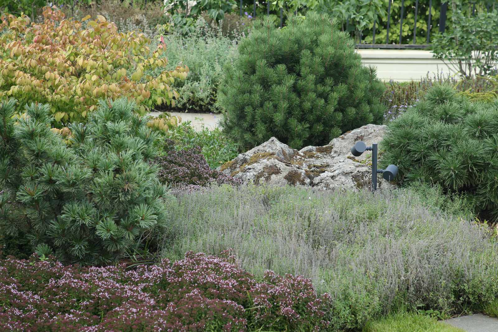 Северо-Запад