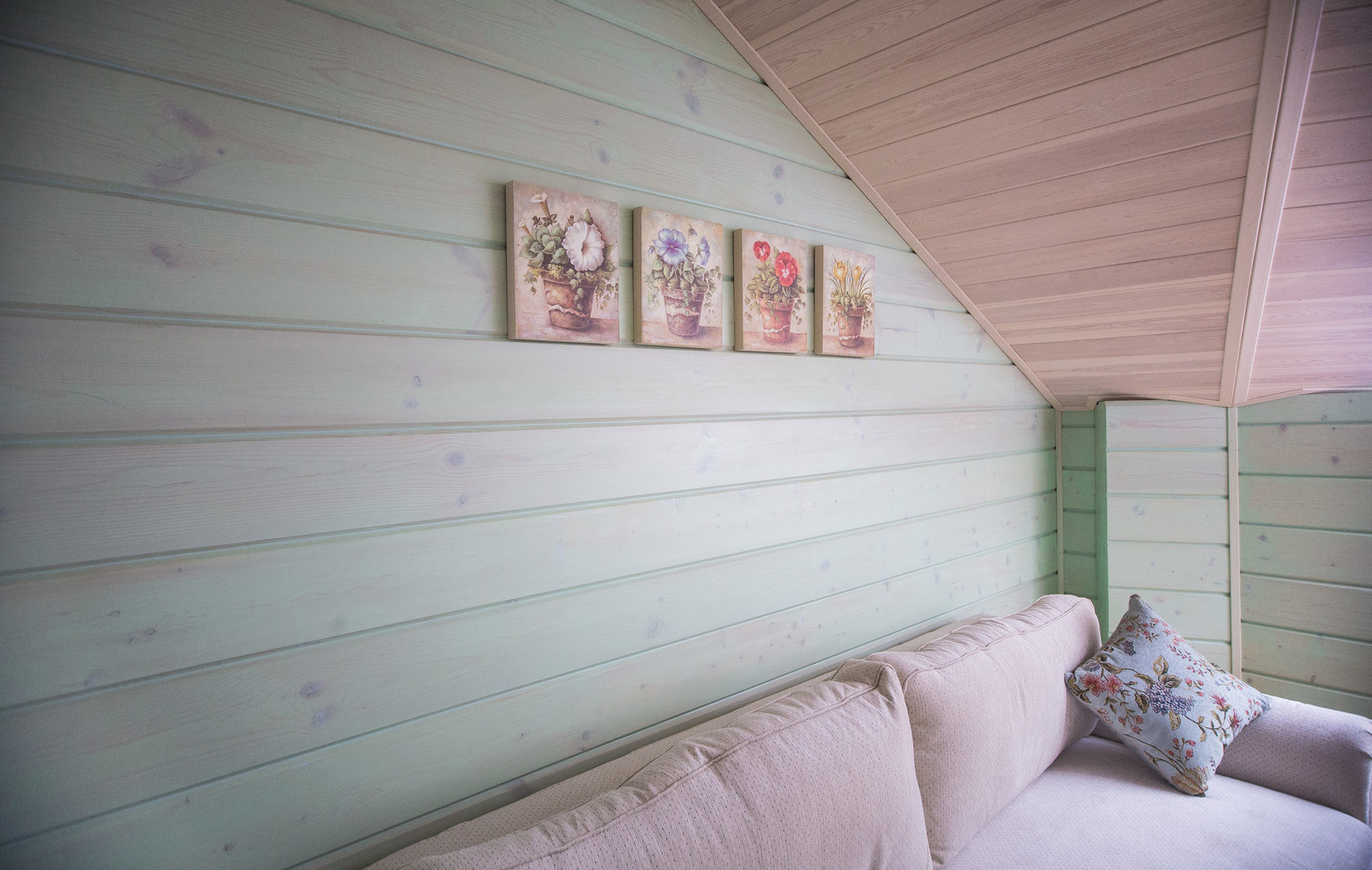 Проект загородного дома Show Home