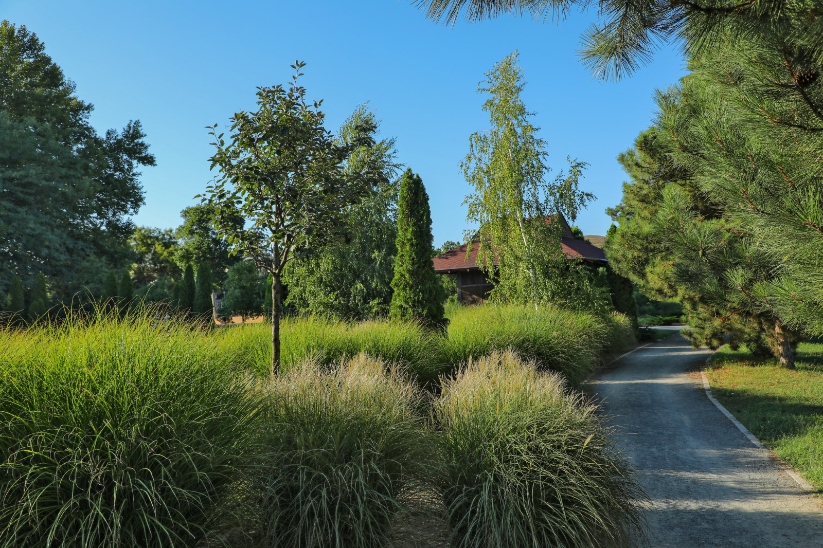 Съемка санатория "Черноморец"
