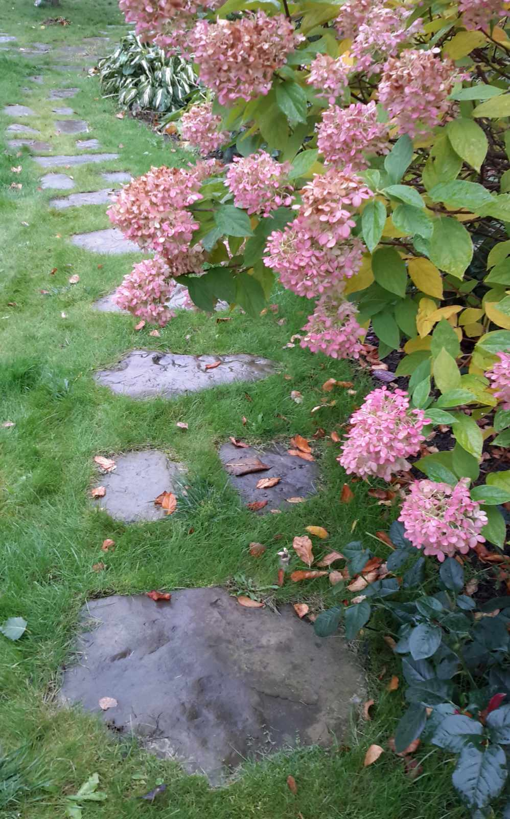 Дорожка из натурального камня "через шаг "