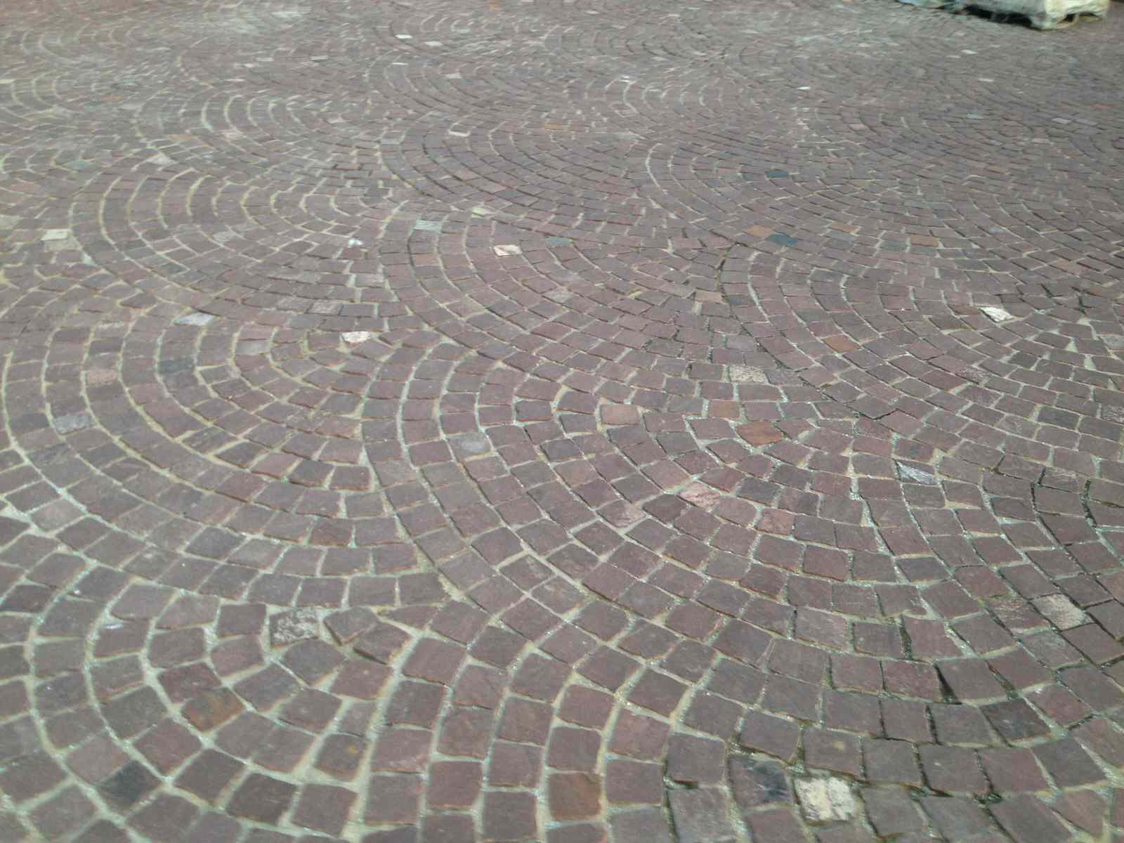 Обложка проекта: Лужки