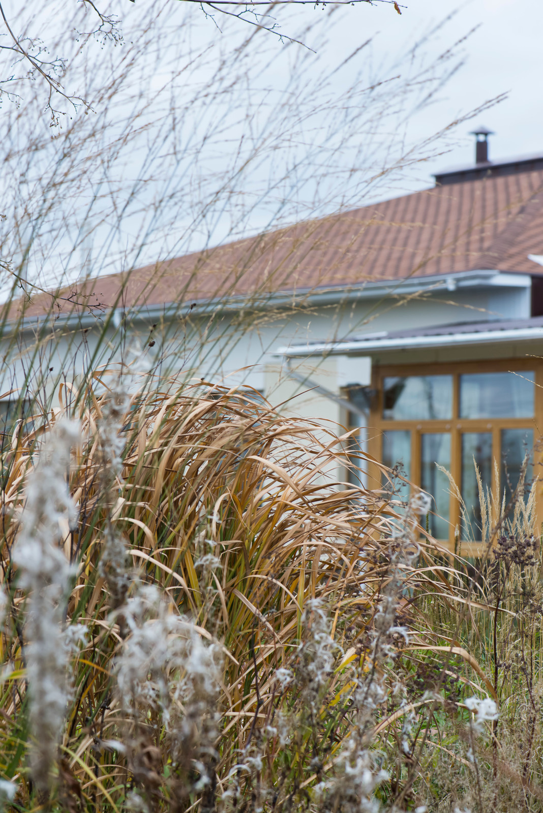 Большой сад в пригороде