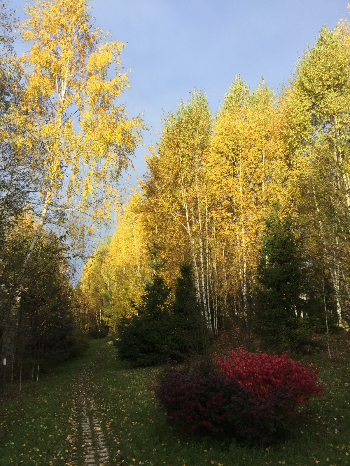 Мансурово.