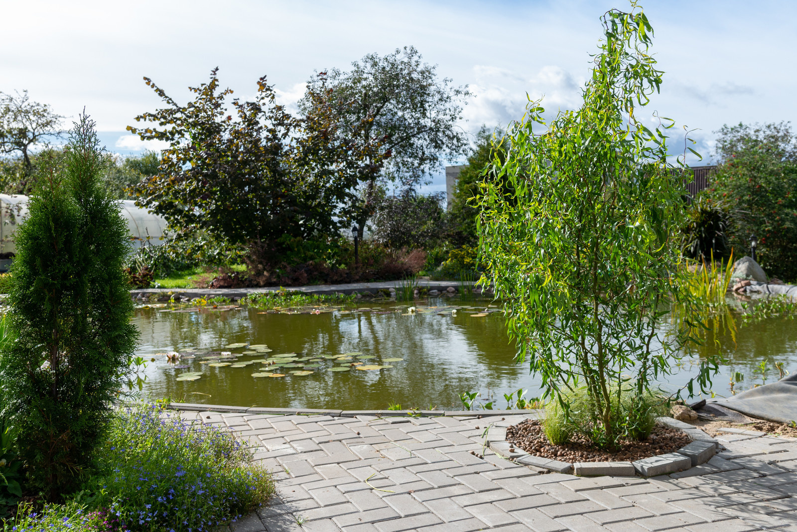 Участок в Ломоносовском районе Ленобласти