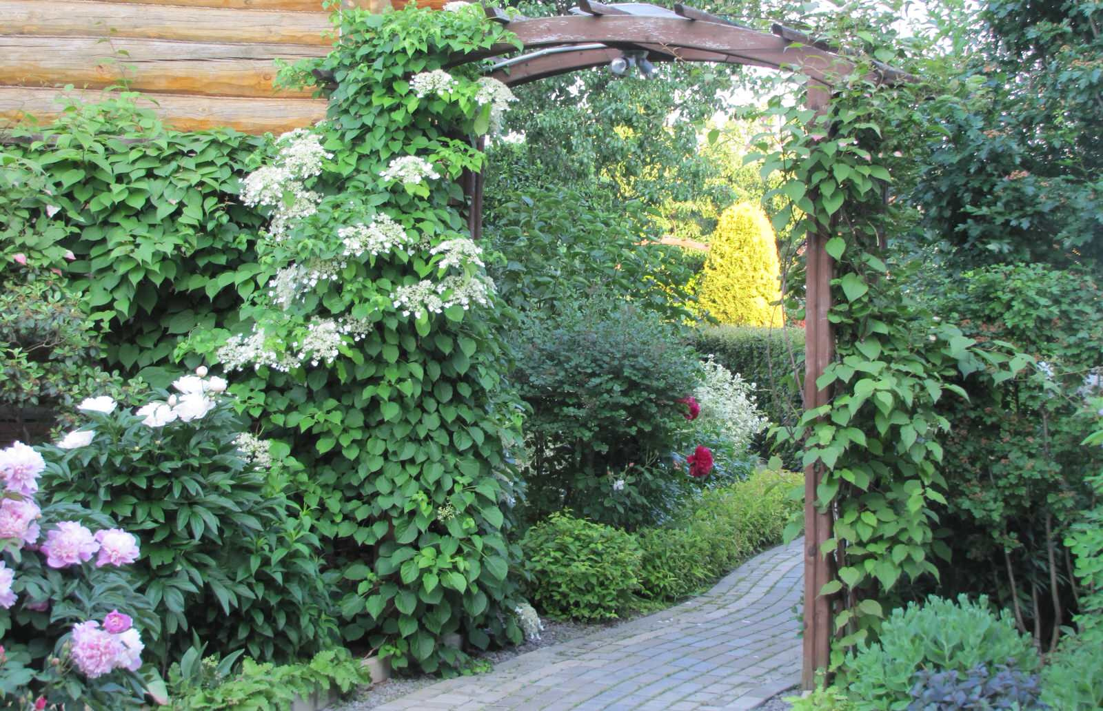 Проект "Преображение". Авторский сад.