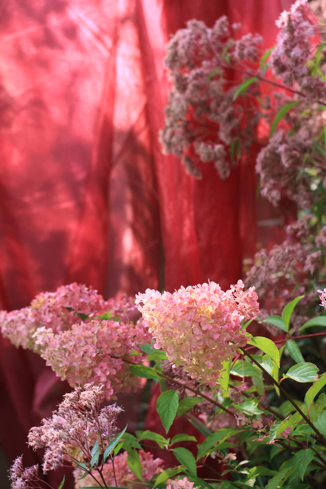 Проект "Преображение". Авторский сад