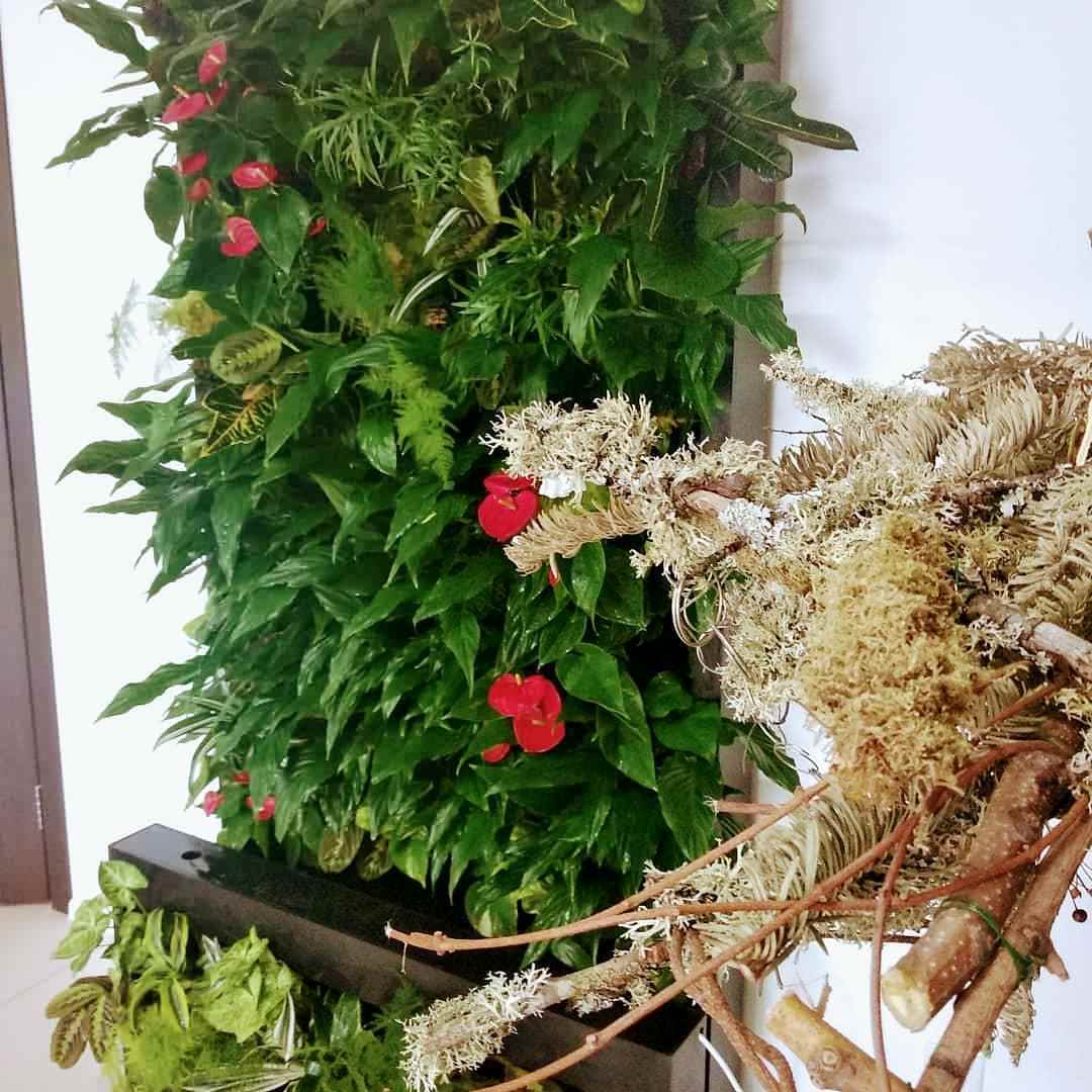 Фоновое изображение профиля Юлия Трифонова