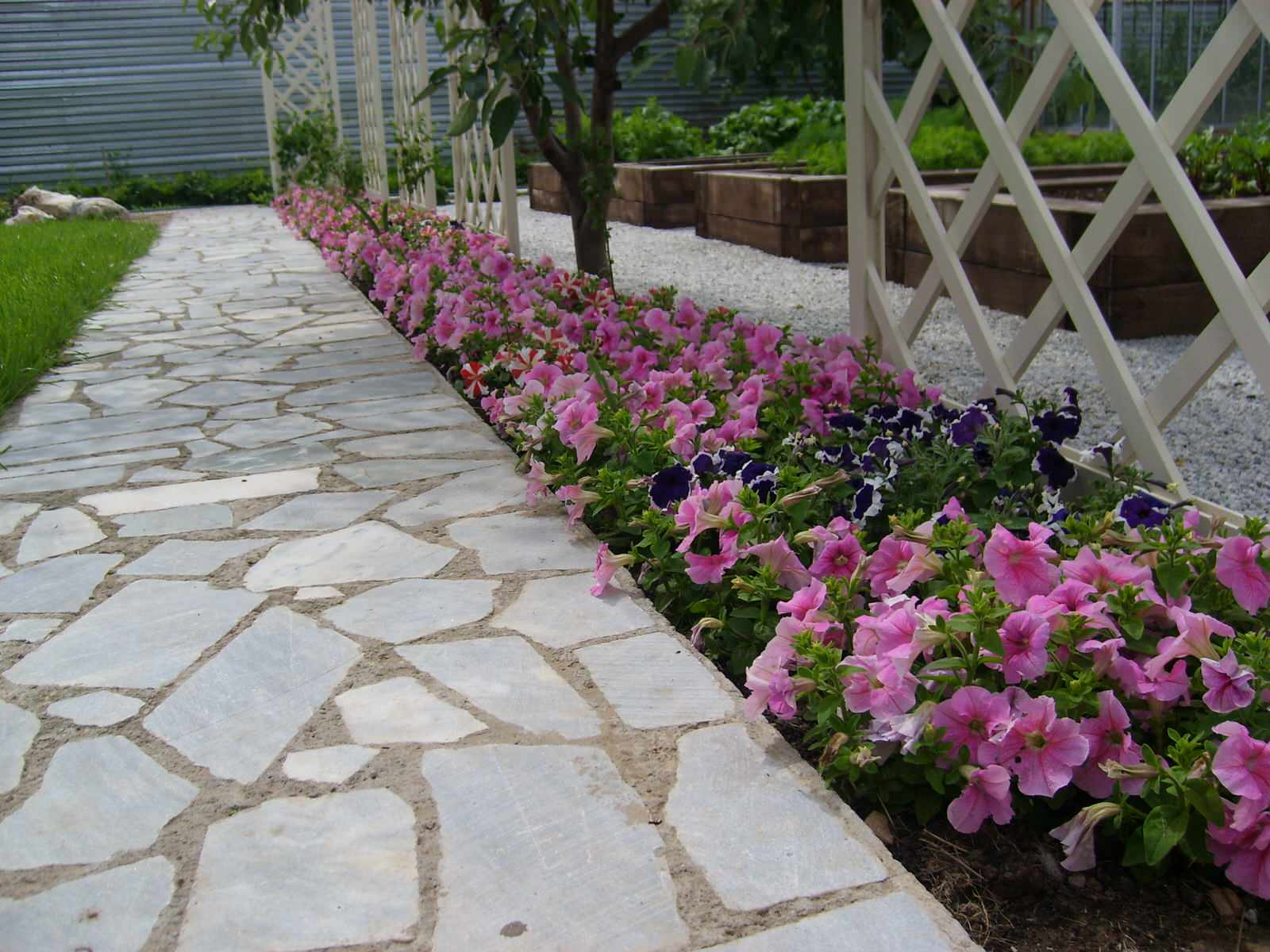 Декоративный огород - красиво и практично.