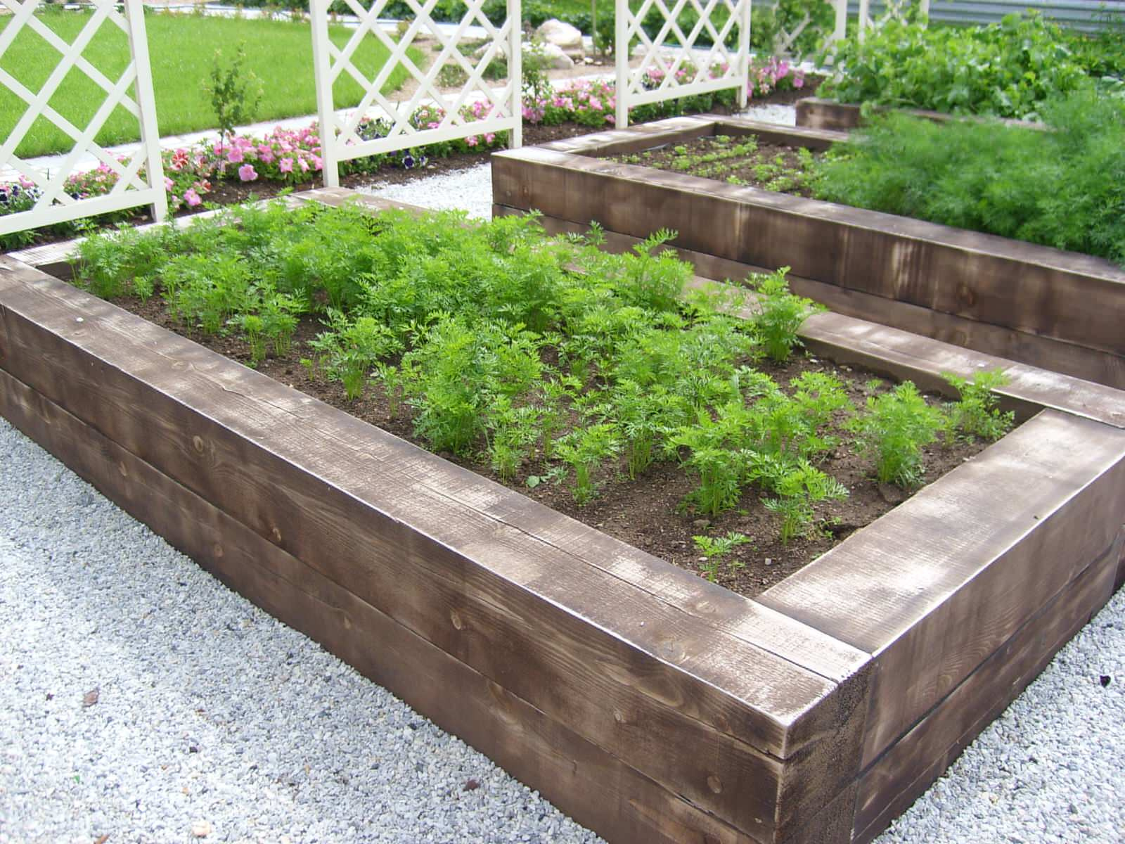 Декоративный огород - красиво и практично.