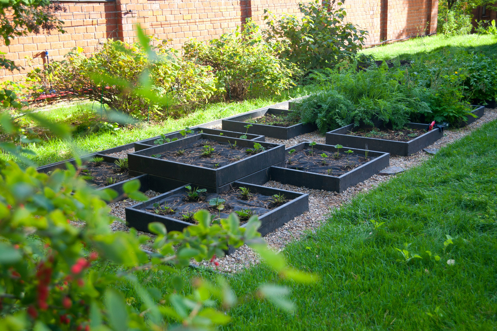 Участок в лесу