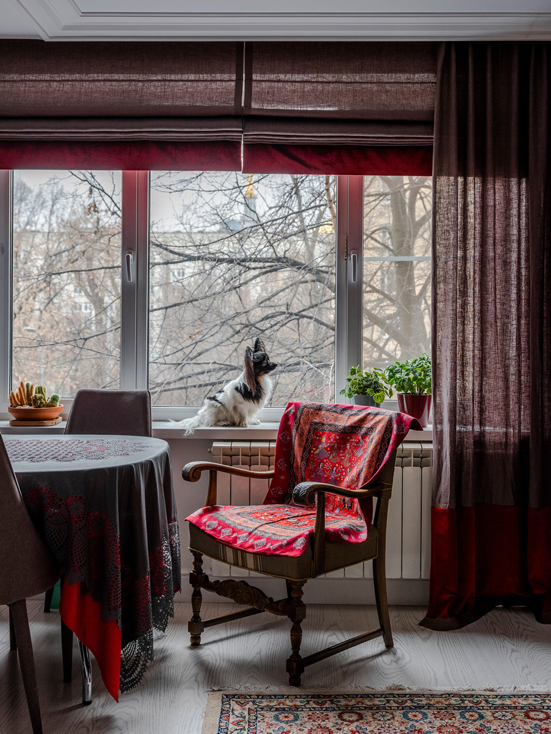 Houzz call: Покажите нам ваших животных в самоизоляции