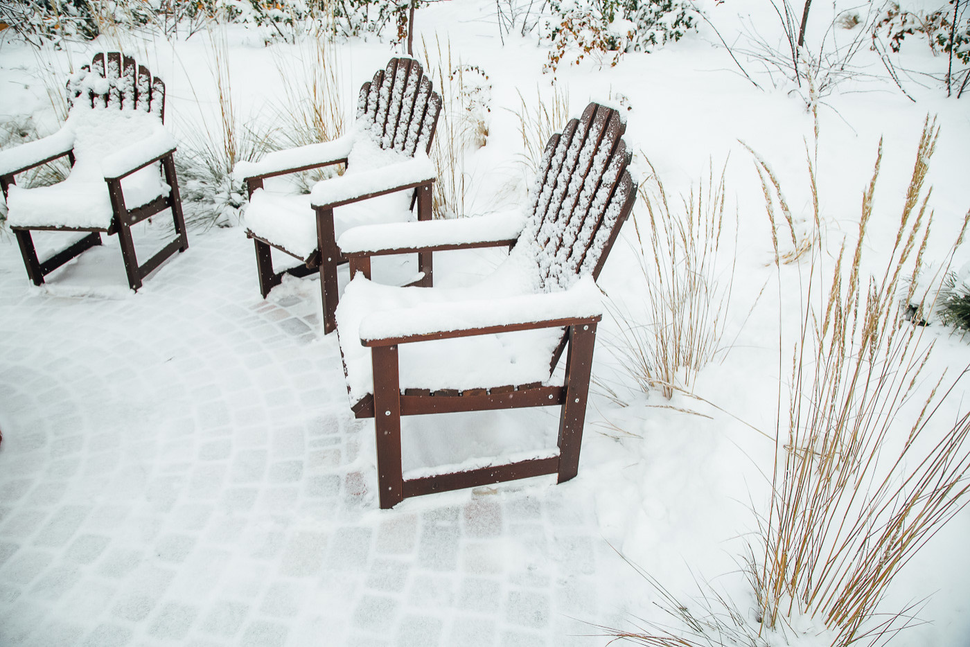 Зимний сад. Ощущение праздника!