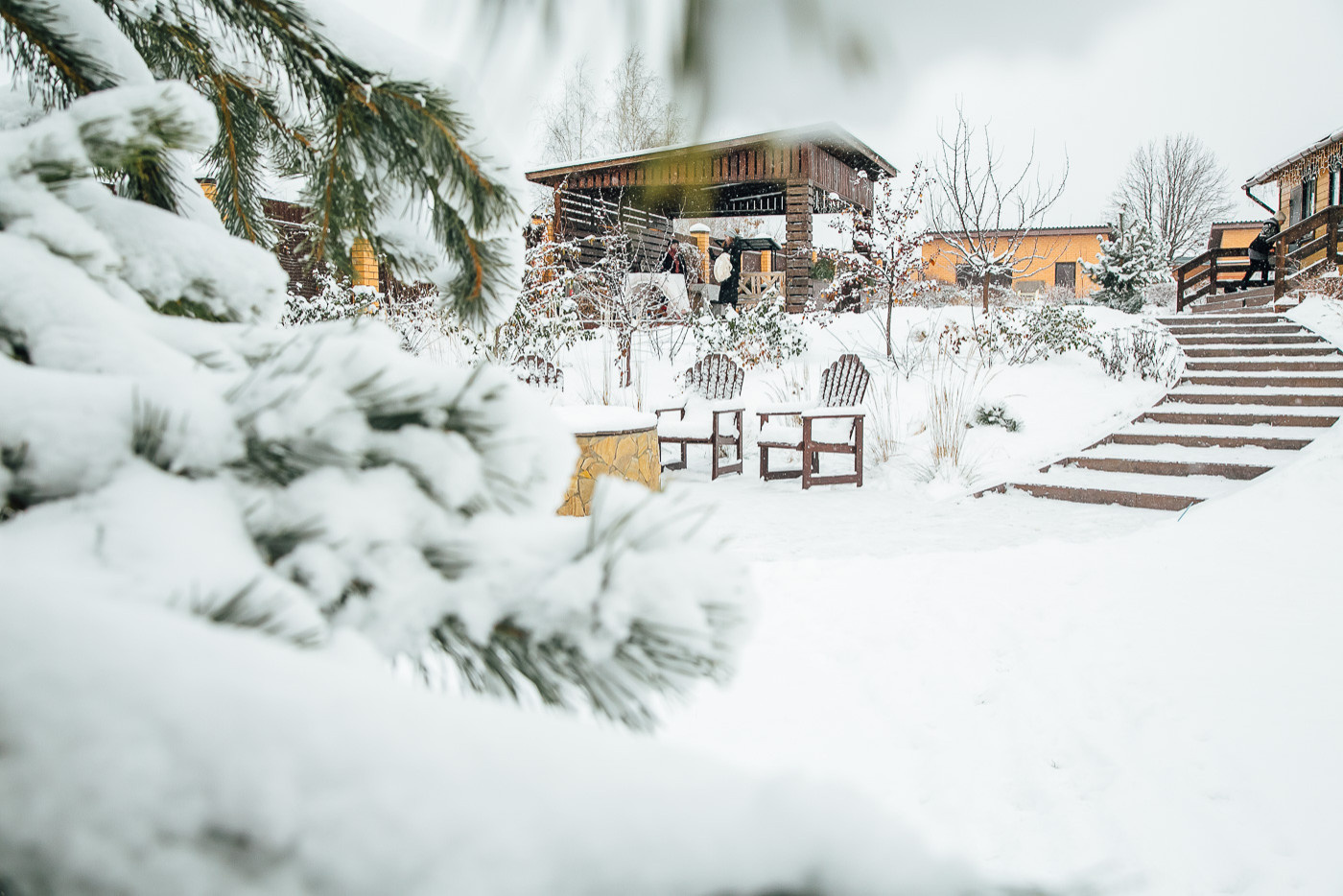 Зимний сад. Ощущение праздника!