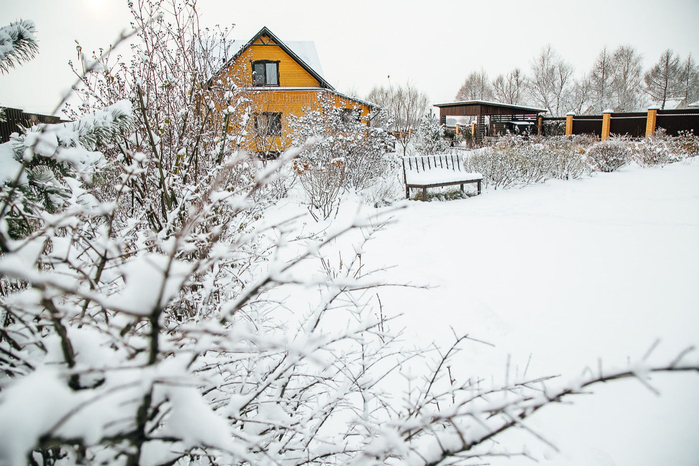 Зимний сад. Ощущение праздника!