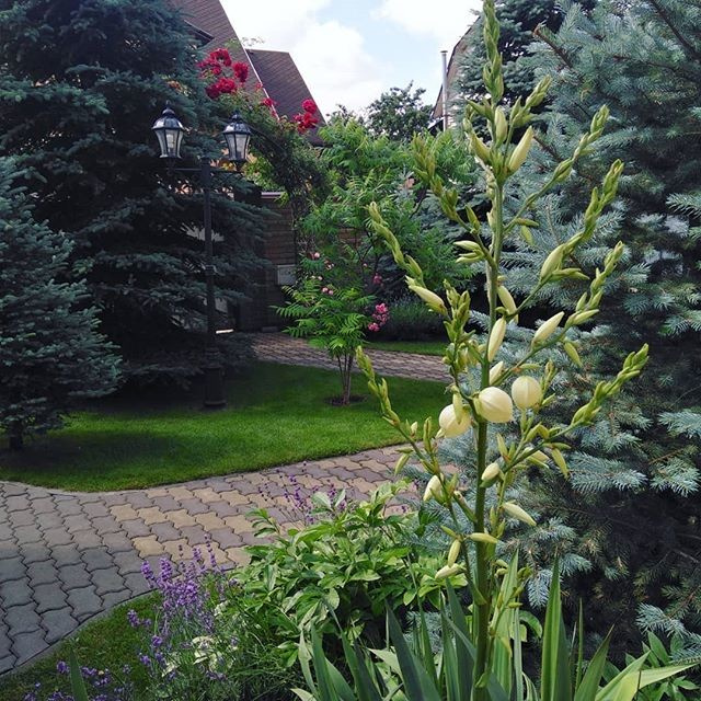 Фоновое изображение профиля Alexander Komarnicki