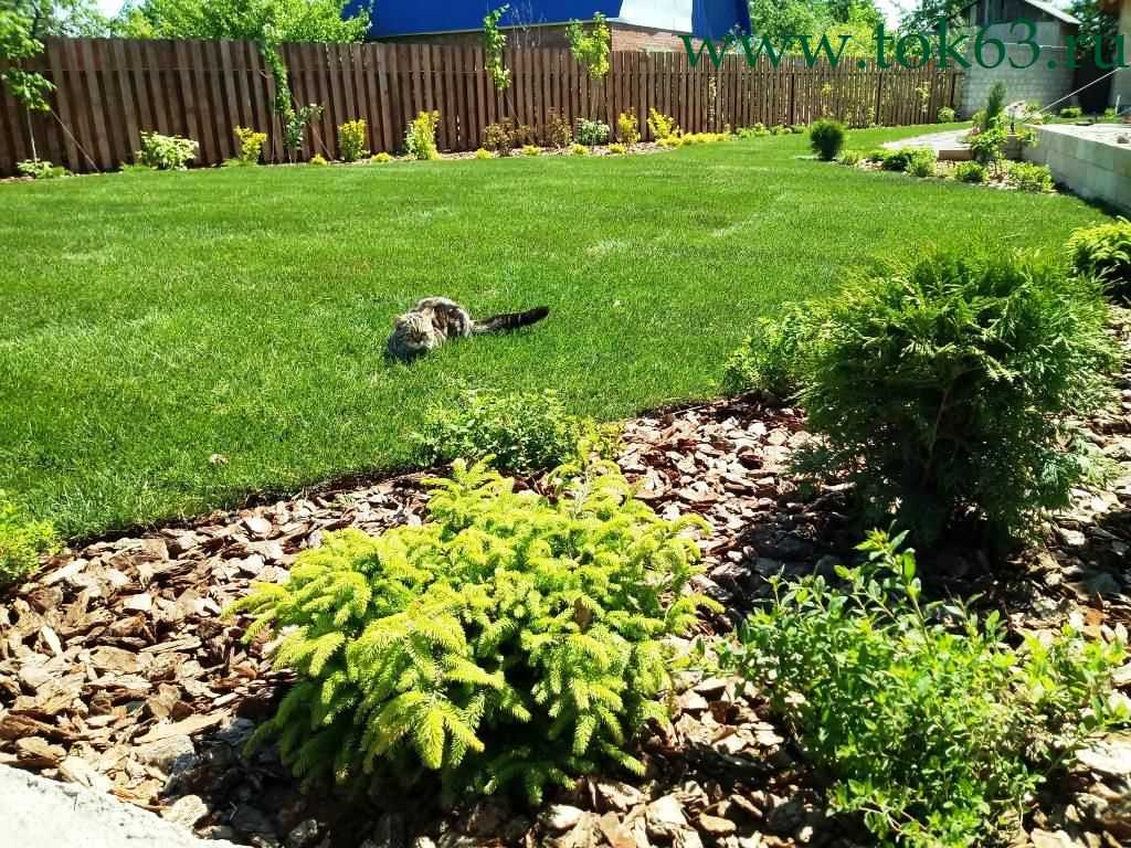 Фоновое изображение профиля Evgenia Bugrova