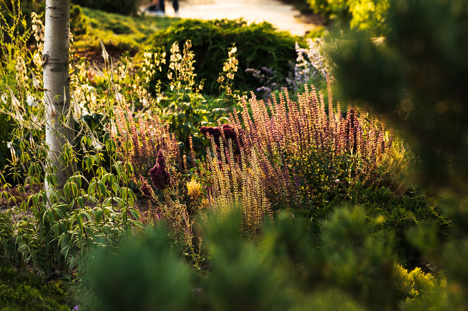 Проект недели: Удобный сад под Петербургом