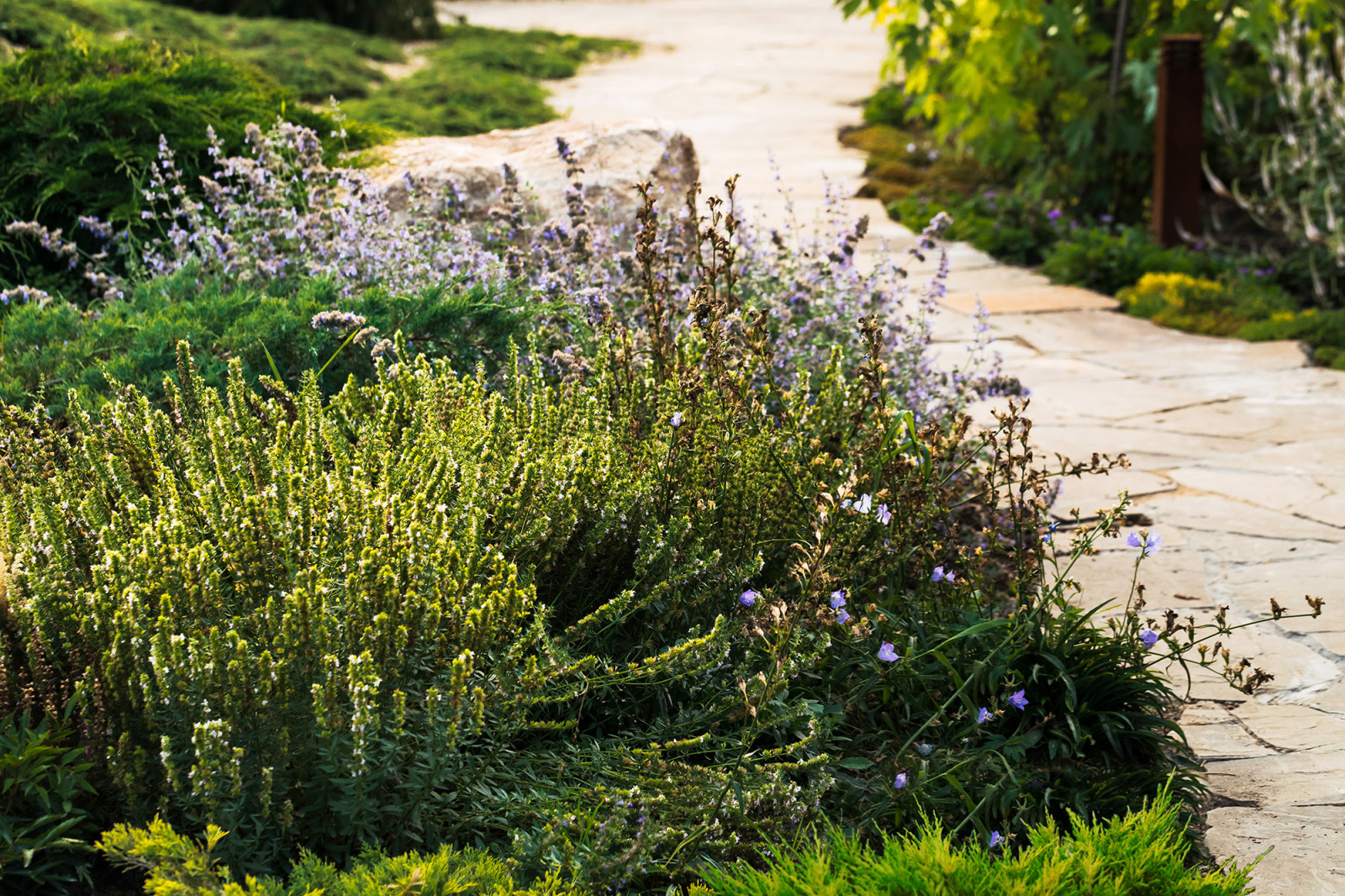 Проект недели: Удобный сад под Петербургом