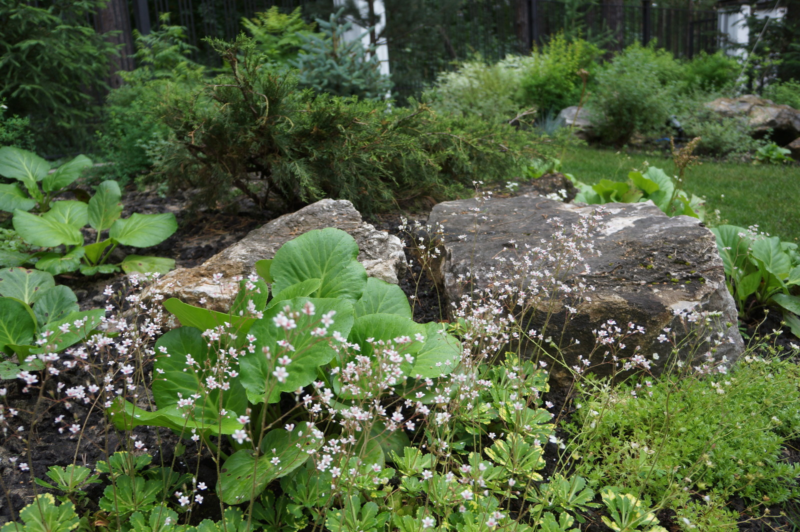 Белая усадьба