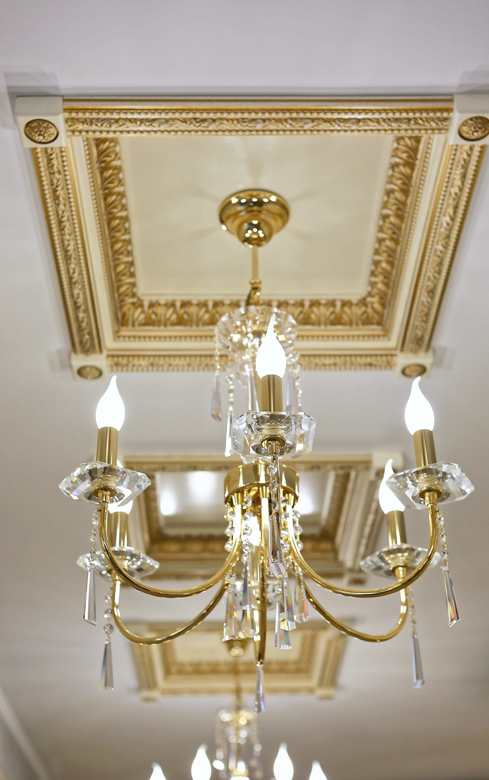 Lady Lux all apartment