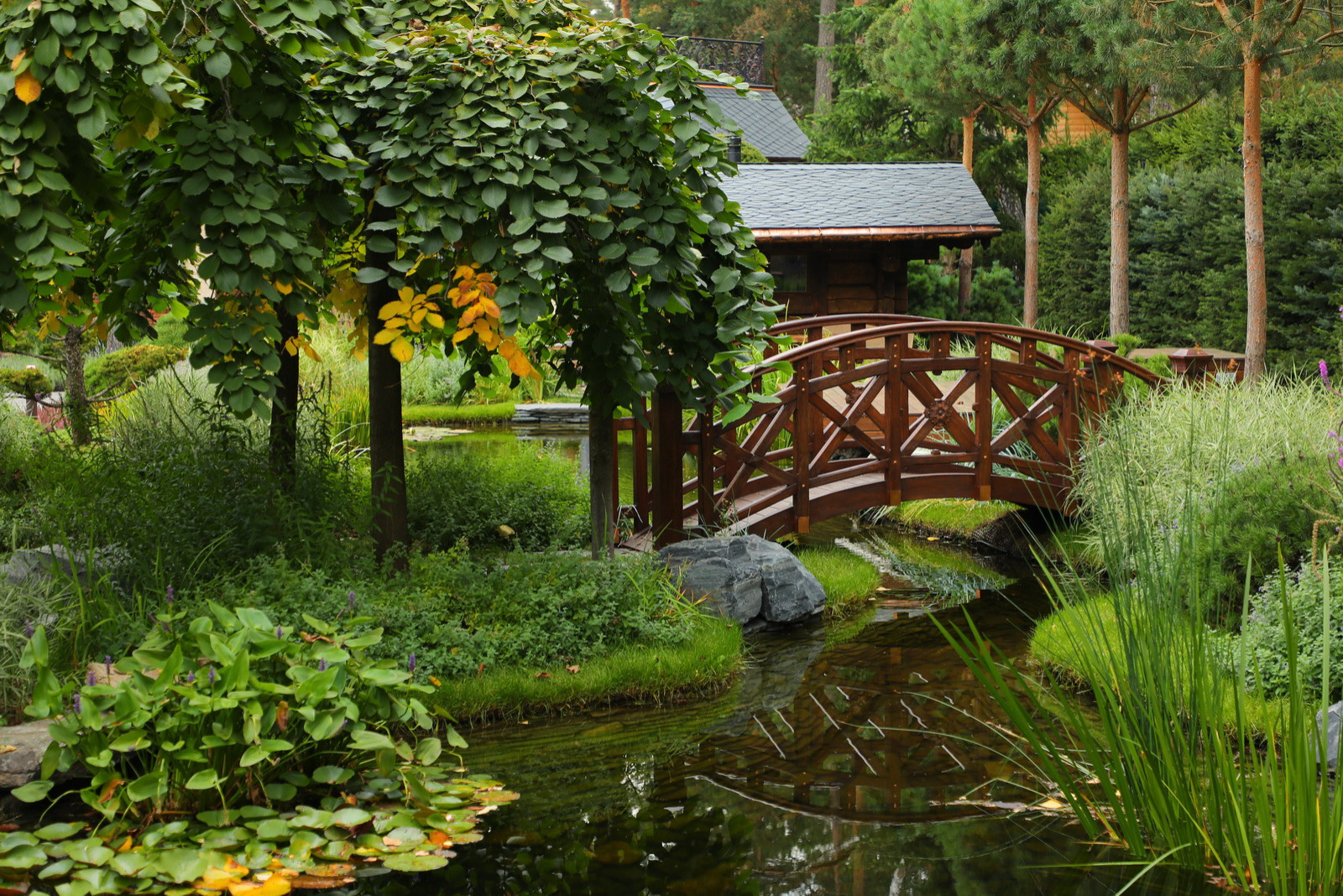 Коттеджный сад в Барвихе (дизайн и исполнение компании "Imperial Garden")