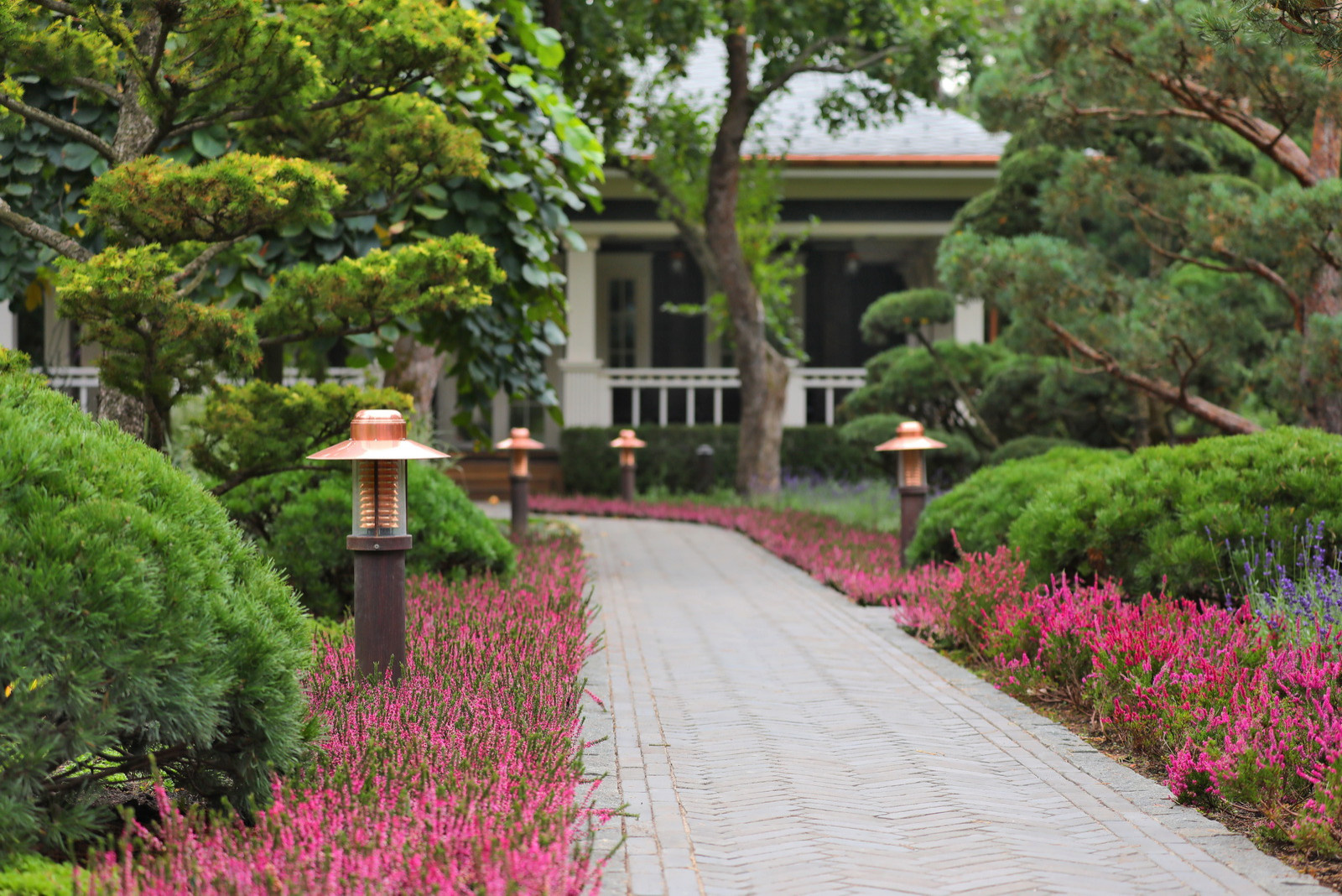 Коттеджный сад в Барвихе (дизайн и исполнение компании "Imperial Garden")