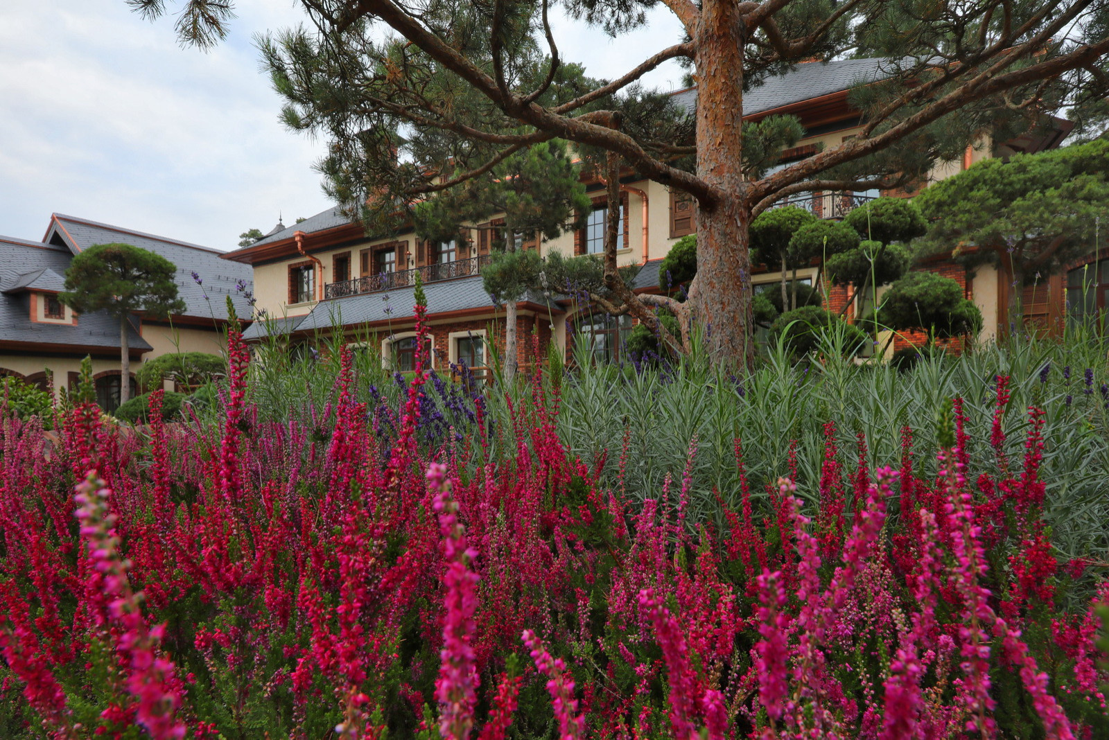 Коттеджный сад в Барвихе (дизайн и исполнение компании "Imperial Garden")