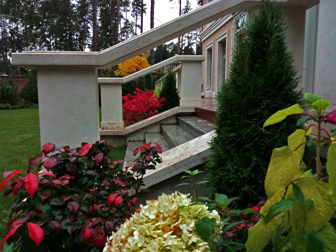 Баковка