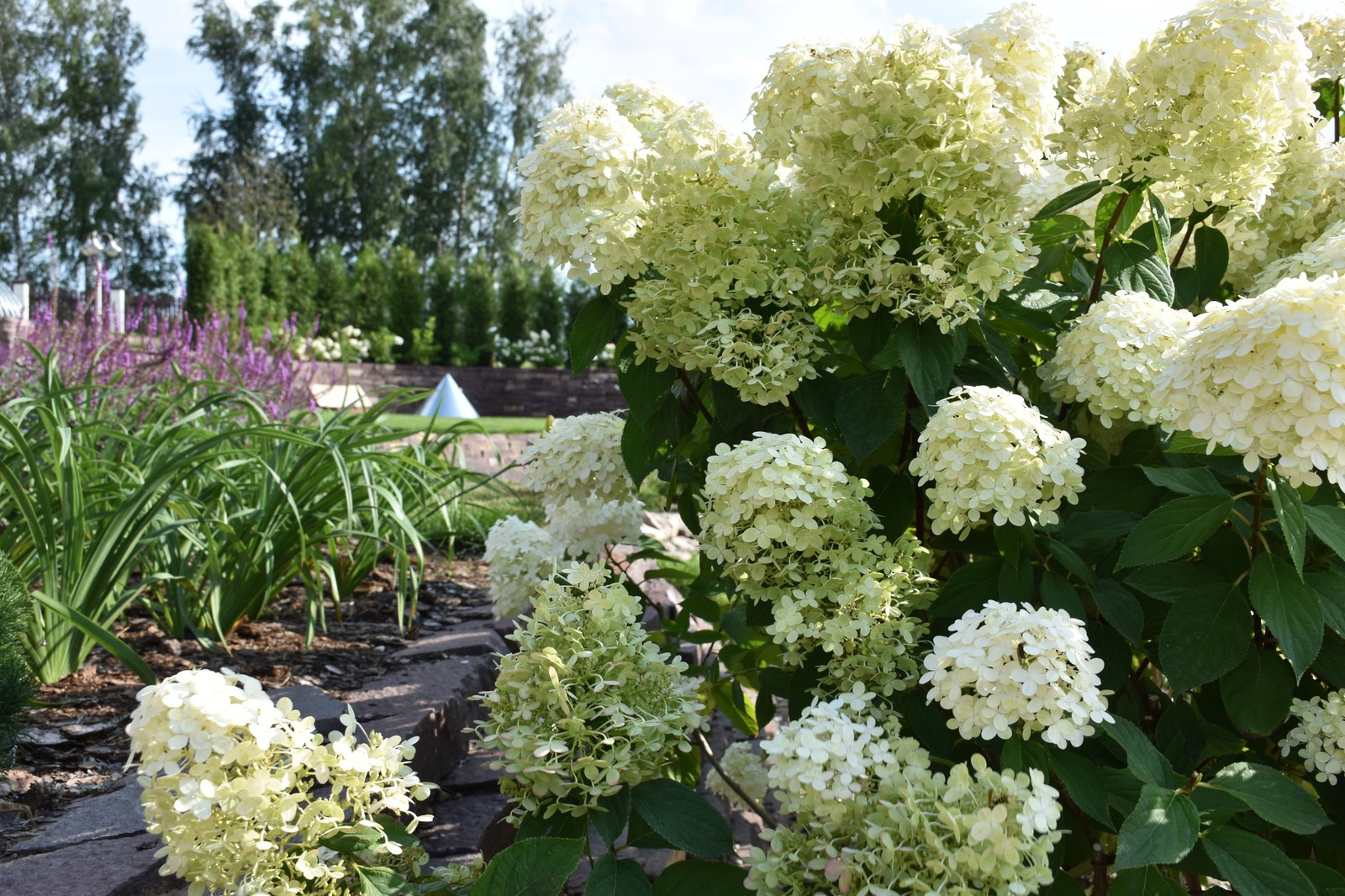 Обложка проекта: Реконструкция сада,  КП "Терраски"