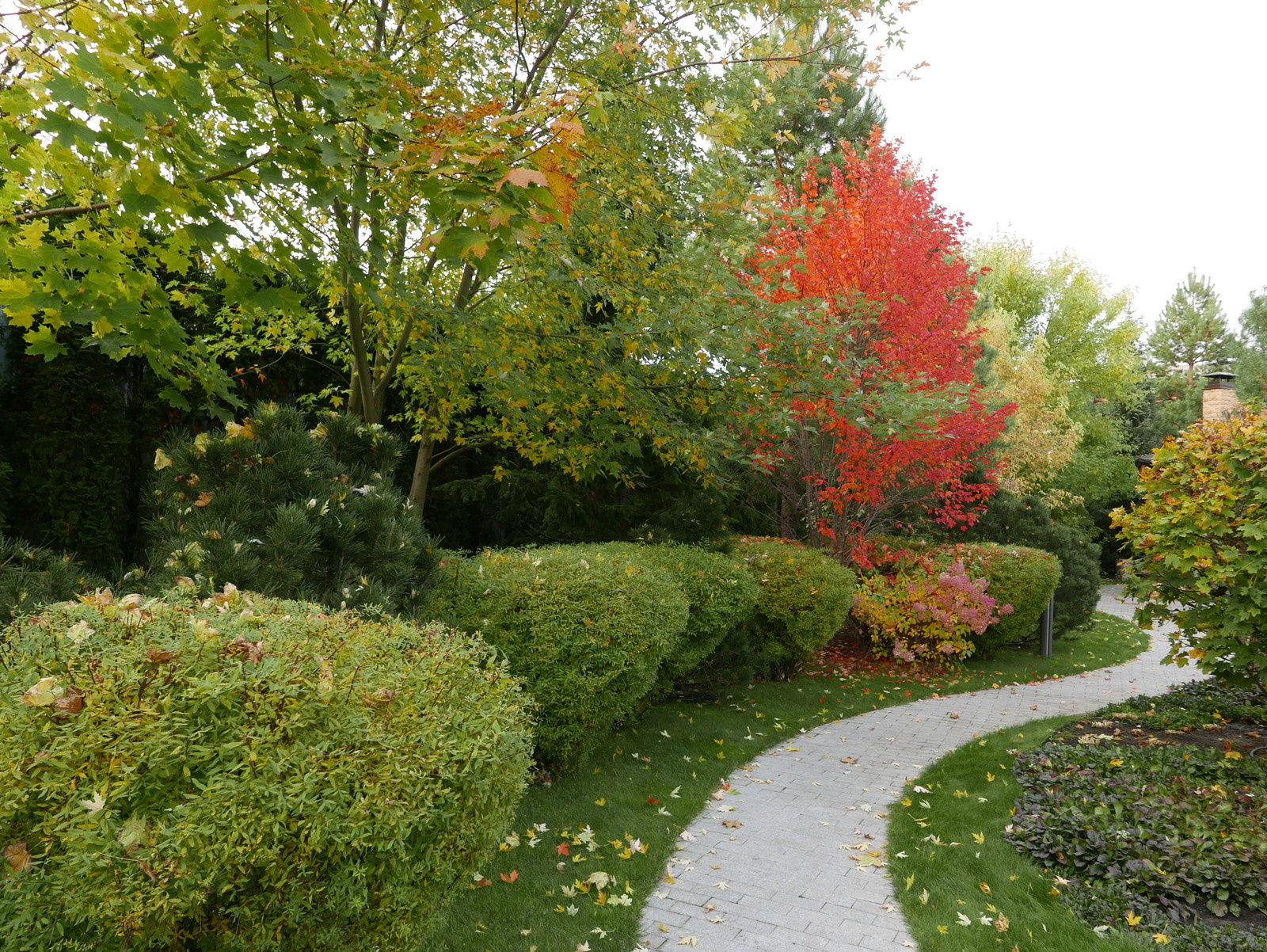 Современный взгляд на классику