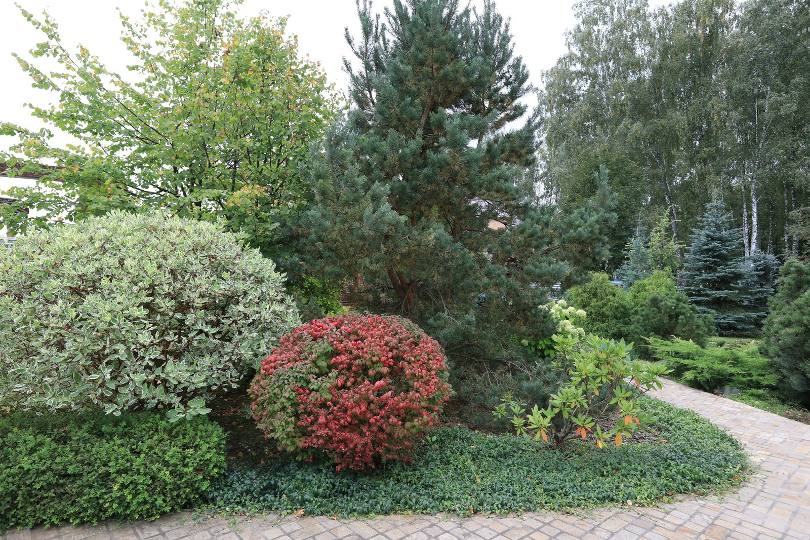 Сказочный мир в предместье Орла