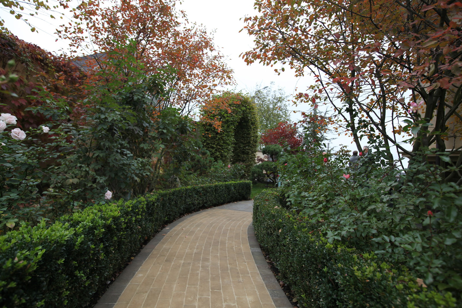 Итальянский сад с пиньями в городе