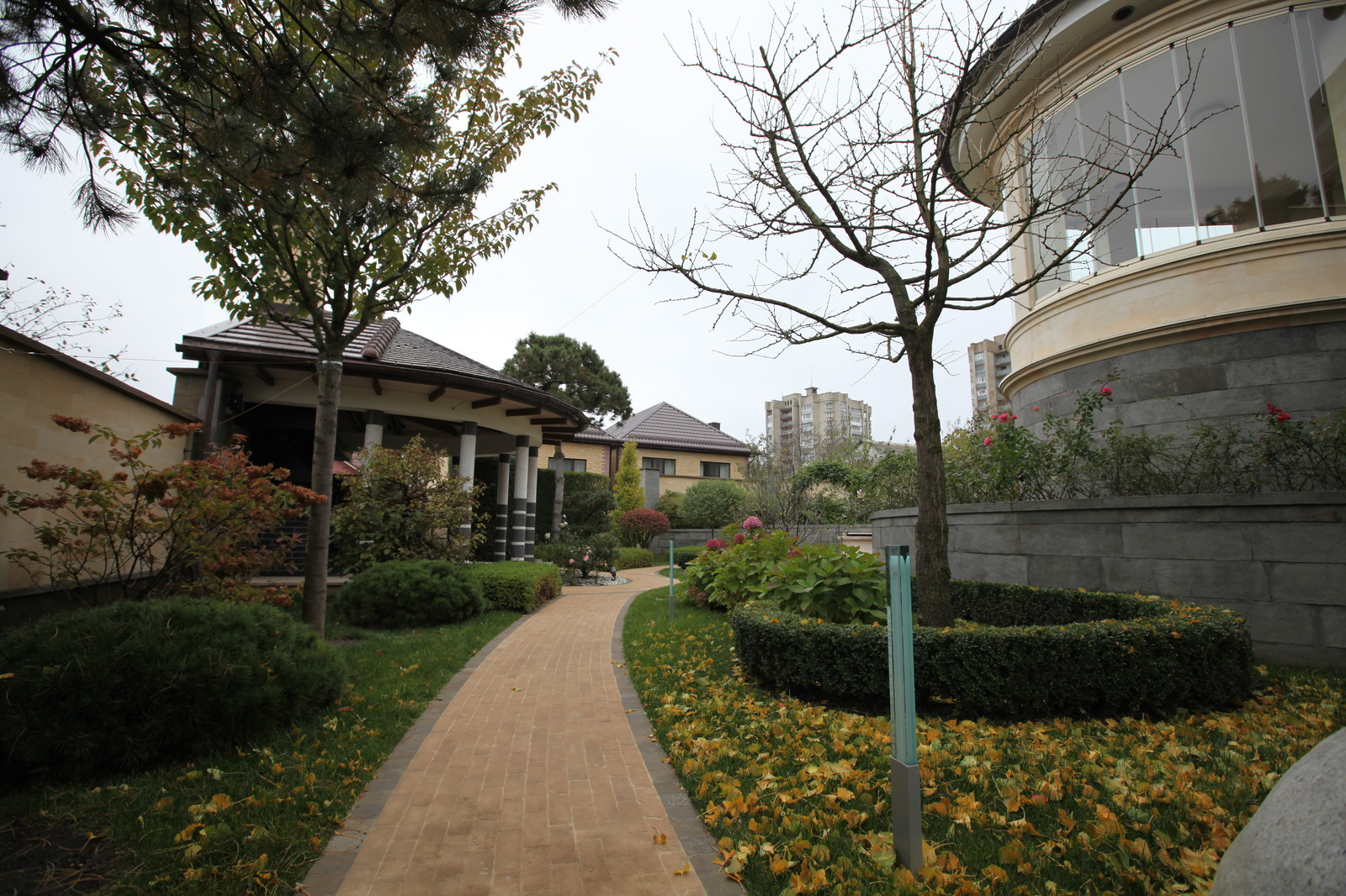 Итальянский сад с пиньями в городе