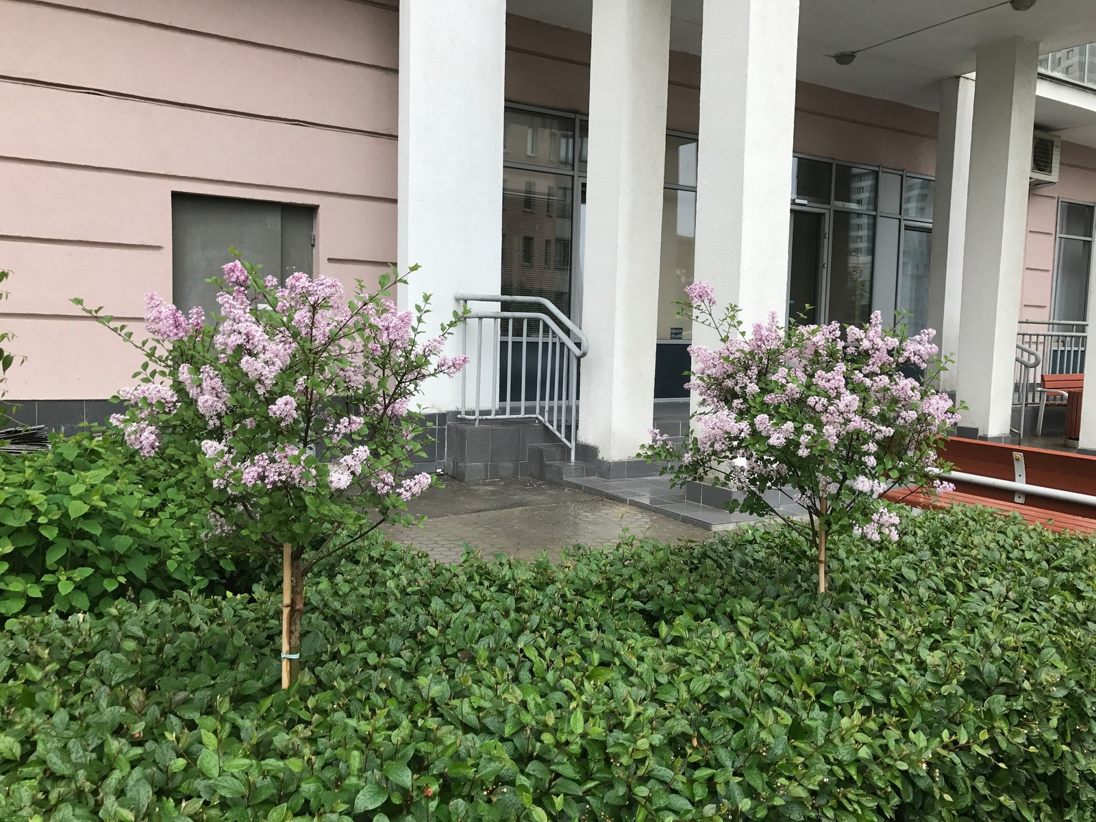 Оформление входа в подъезд многоквартирного дома на Ходынке ЖК "Гранд парк"Сад