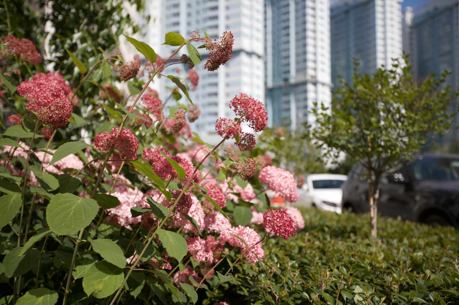 Оформление входа в подъезд многоквартирного дома на Ходынке ЖК "Гранд парк"